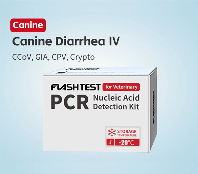 canine diarrhea pcr