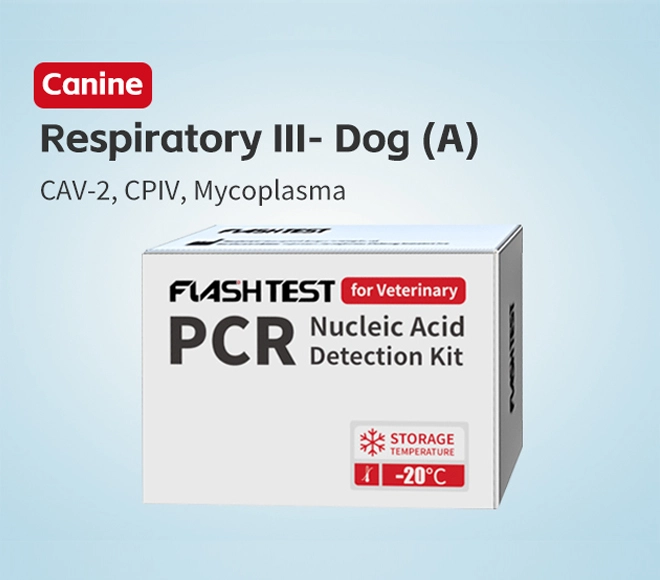 canine respiratory pcr