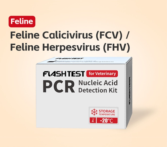 feline calicivirus pcr