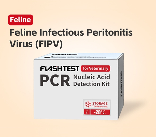 feline infectious peritonitis pcr