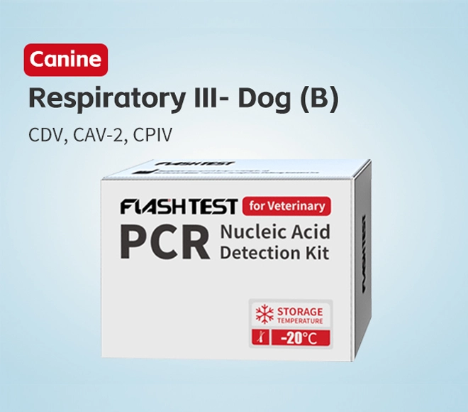 respiratory pcr panel dog