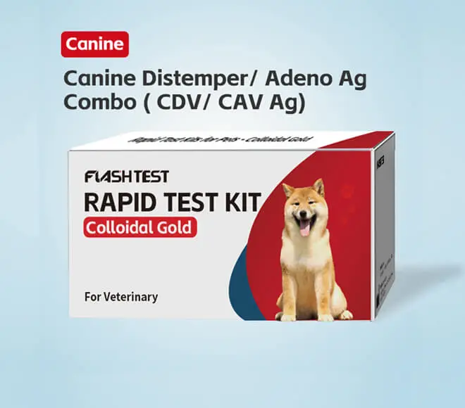 canine distemper test