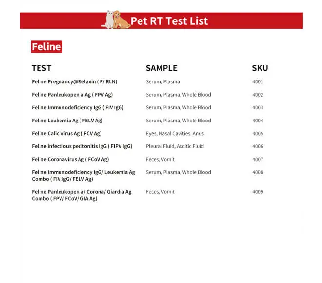 corona antigen test kit