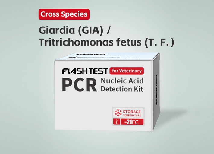 Giardia (GIA) / Tritrichomonas fetus (T. F.) Nucleic Acid Test Kit (Dry)