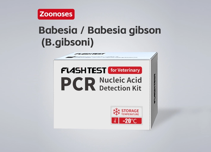Babesia / Babesia gibsoni (B.gibsoni) Nucleic Acid Test Kit (Dry)