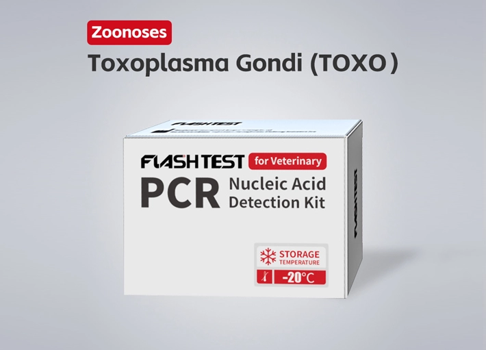 Toxoplasma Gondi (TOXO) Nucleic Acid Test Kit (Dry)