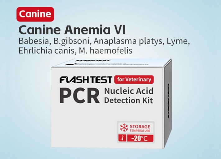 Canine Anemia VI Nucleic Acid Test Kit (Dry)