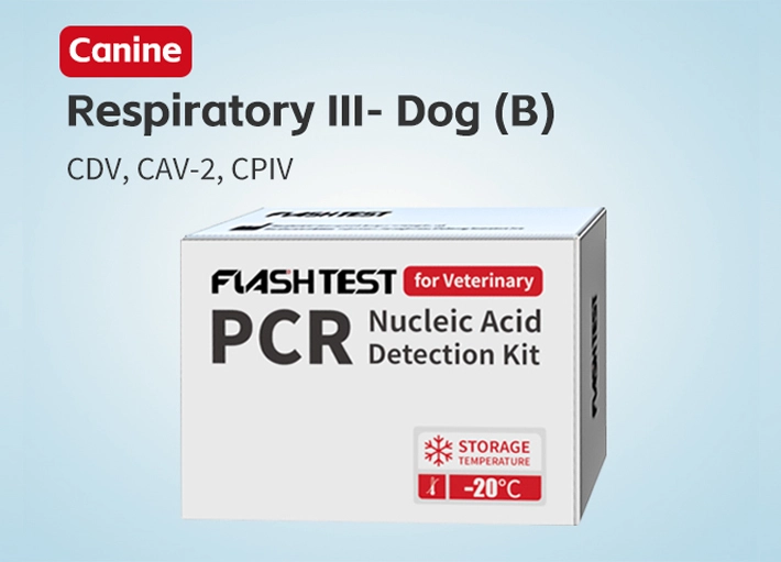 Canine Respiratory Panel III Nucleic Acid Test Kit (B) (Dry)