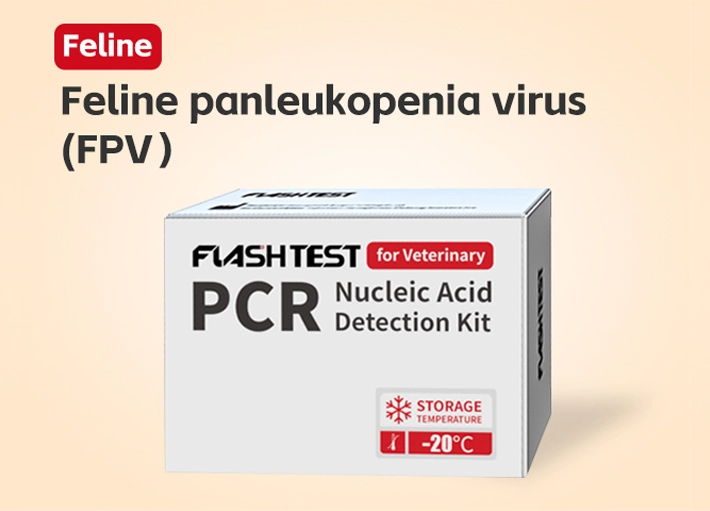 Feline Panleukopenia Virus (FPV) Nucleic Acid Test Kit (Dry)