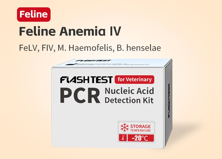 Feline Anemia IV Nucleic Acid Test Kit (Dry)