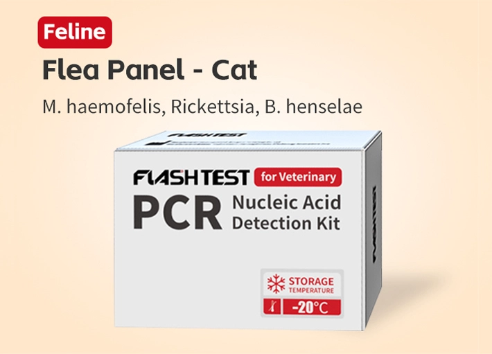 Feline Flea Panel Nucleic Acid Test Kit (Dry)