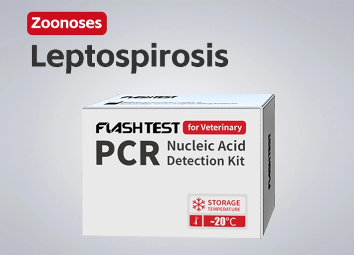 Leptospirosis Nucleic Acid Test Kit (Dry)
