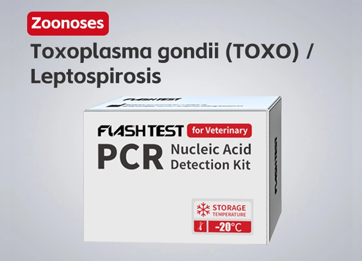 Toxoplasma Gondi (TOXO) / Leptospirosis Nucleic Acid Test Kit (Dry)