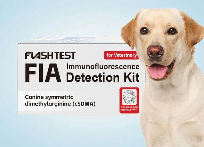 Canine Symmetric Dimethylarginine (cSDMA) Test Kit
