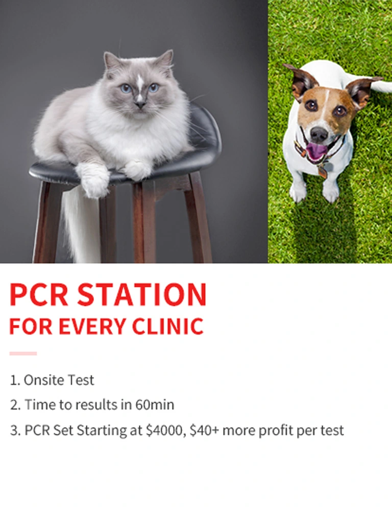 Pet PCR Test Kits