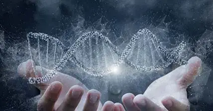 Biotech Breakthroughs: PCR Instruments in Genetic Engineering