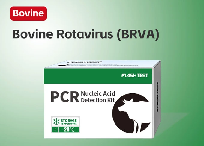 Bovine PCR Test kit