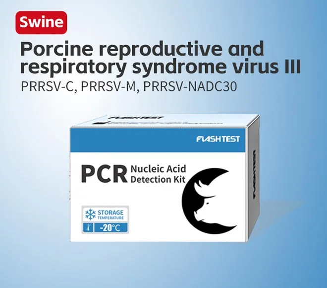 3206 porcine reproductive and respiratory syndrome virus