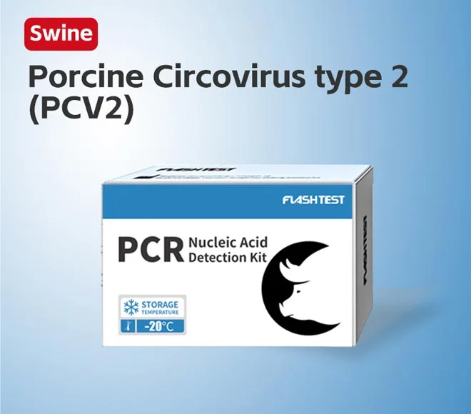 porcine circovirus type 2 pcv2
