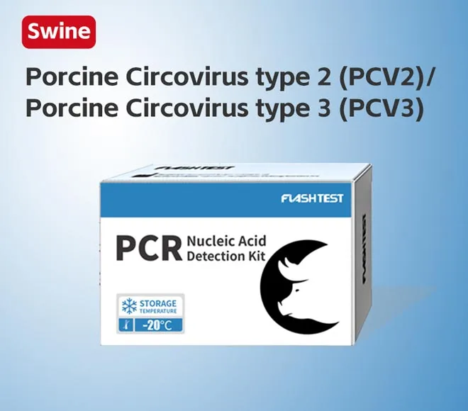 porcine circovirus type 2 pcv2 porcine circovirus type 3 pcv3