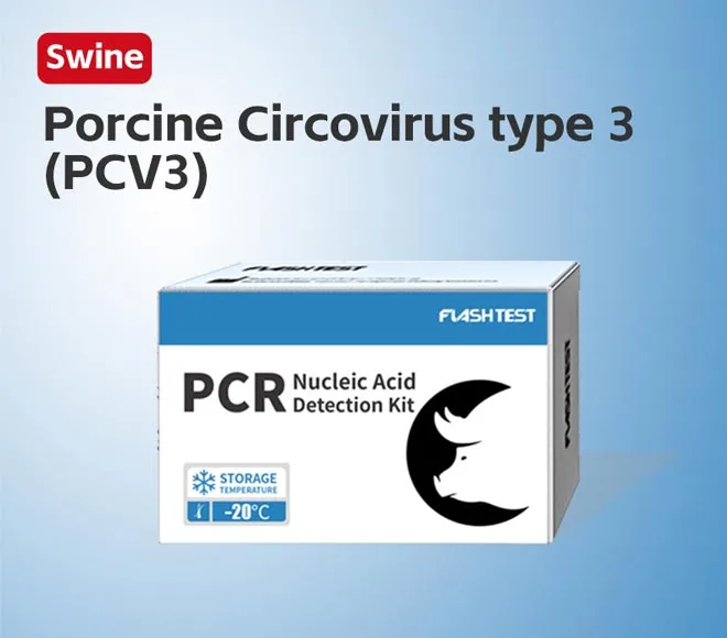 porcine circovirus type 3 pcv3