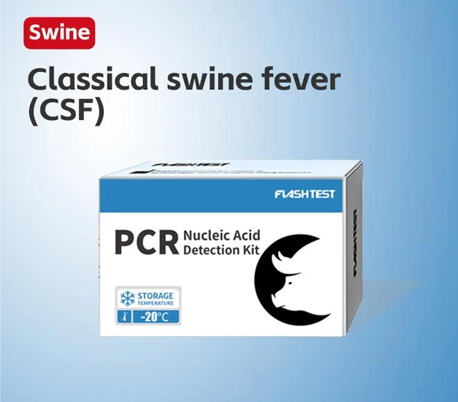 classical swine fever csf