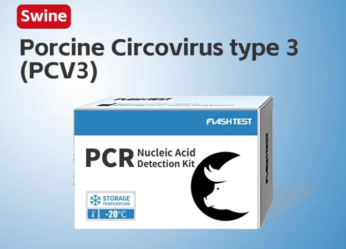Porcine Circovirus Type 3 (PCV3)
