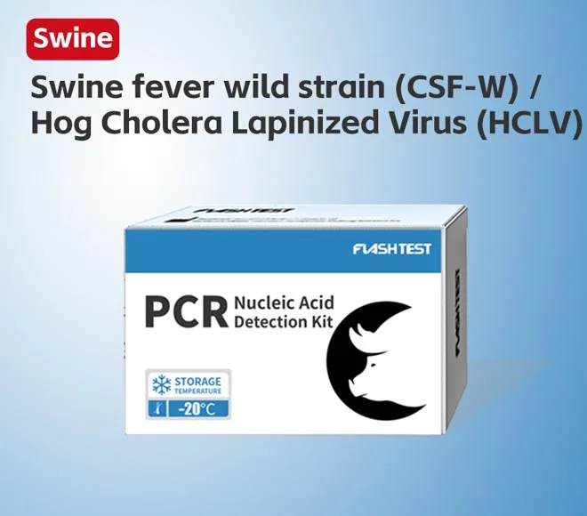 swine fever wild strain csf w hog cholera lapinized virus hclv