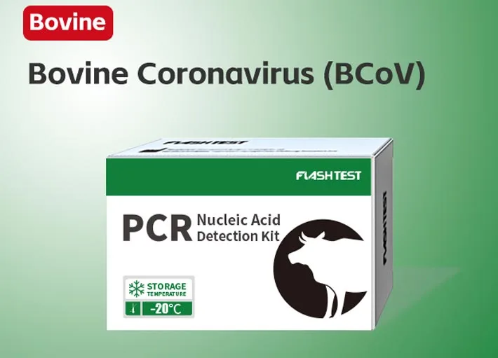 Bovine Coronavirus (BCoV)