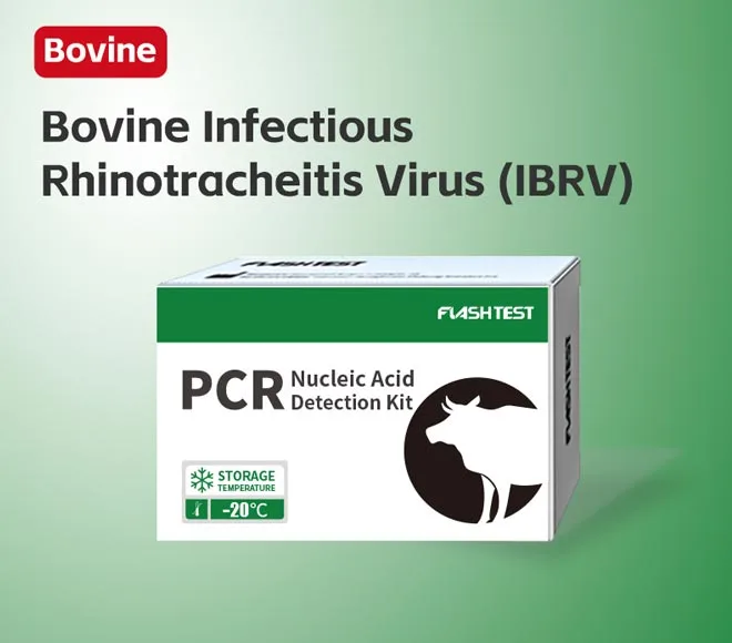 bovine infectious rhinotracheitis virus ibrv