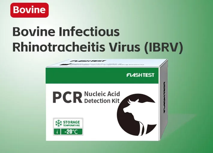 Bovine Infectious Rhinotracheitis Virus (IBRV)