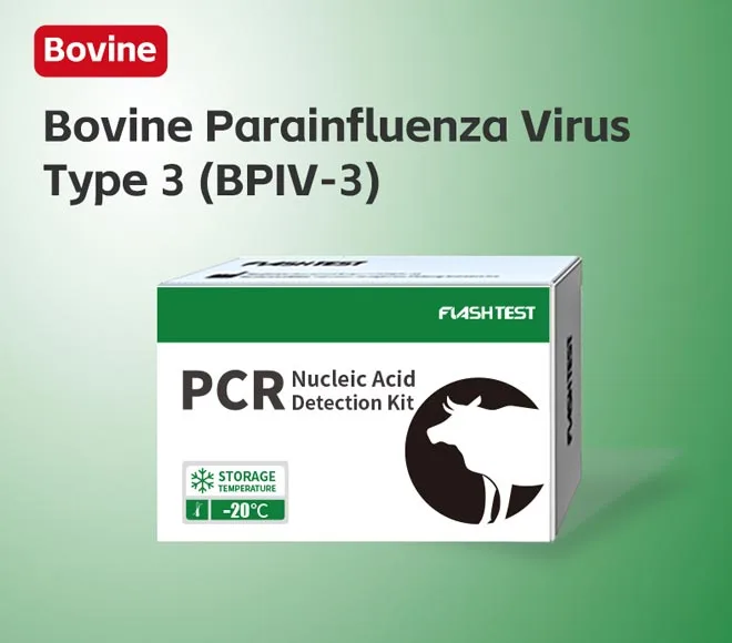 bovine parainfluenza virus type 3 bpiv 3