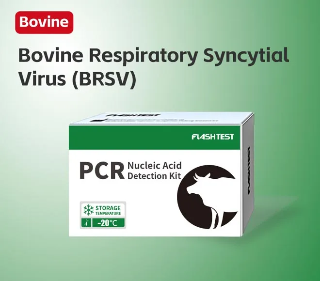 bovine respiratory syncytial virus brsv