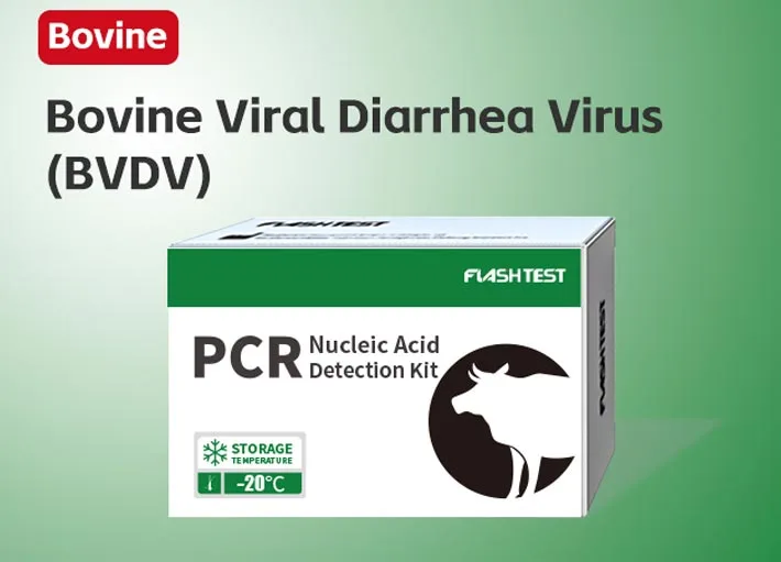 Bovine Viral Diarrhea Virus (BVDV)