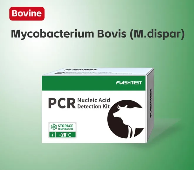 mycobacterium bovis m dispar