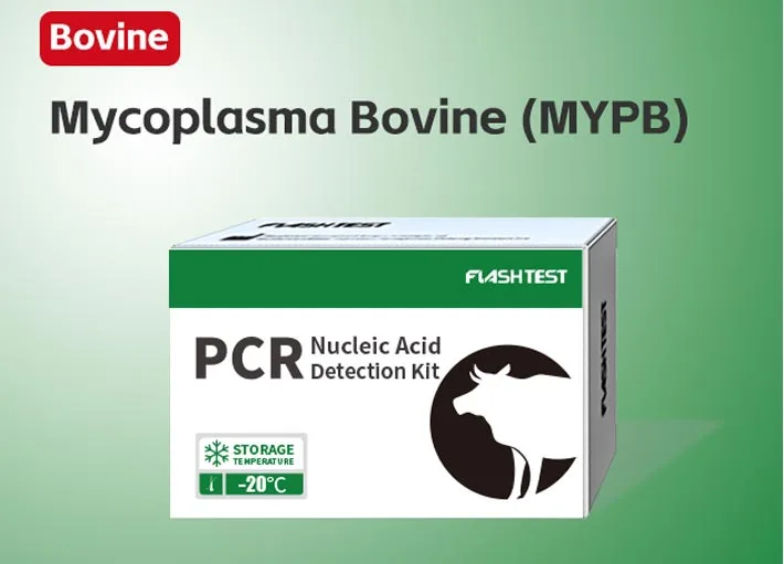 Mycoplasma Bovine (MYPB)