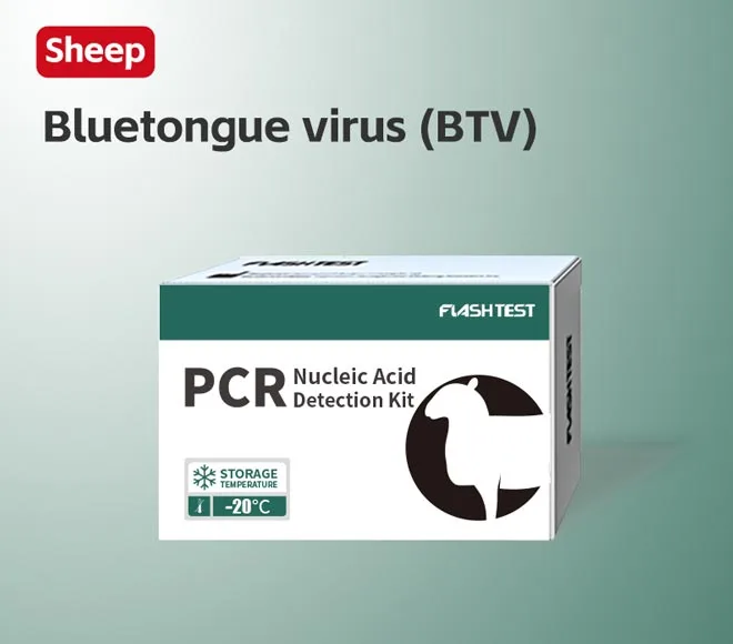 bluetongue virus btv