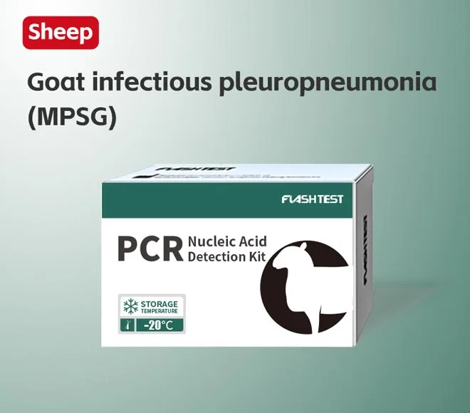 goat infectious pleuropneumonia mpsg