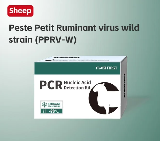peste petit ruminant virus wild strain pprv w