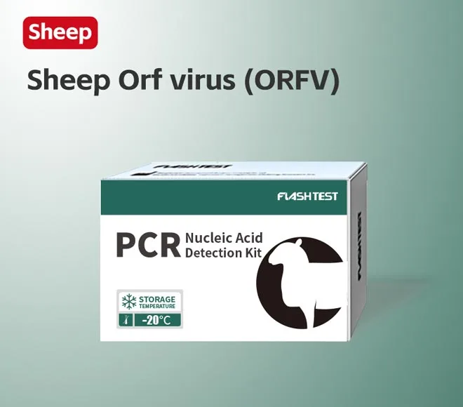 sheep orf virus orfv
