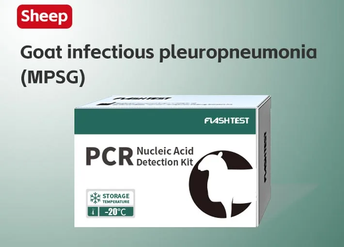 Goat Infectious Pleuropneumonia (MPSG)
