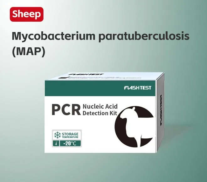 mycobacterium paratuberculosis map