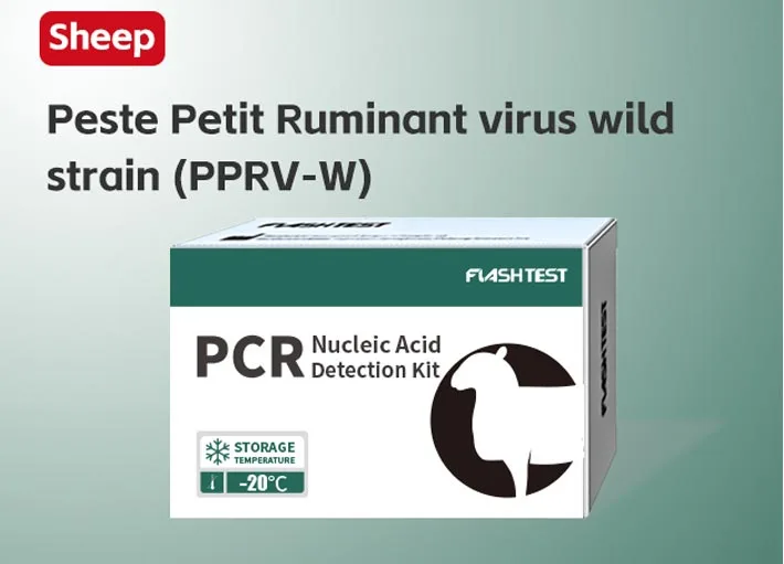 Peste Petit Ruminant Virus Wild Strain (PPRV-W)