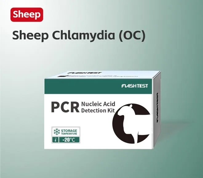 sheep chlamydia oc