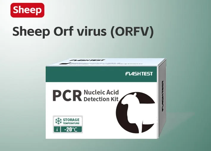 Sheep Orf Virus (ORFV)