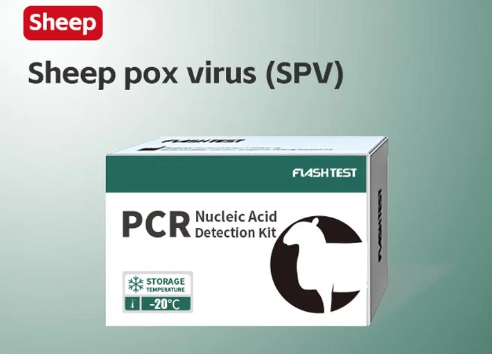Sheep Pox Virus (SPV)