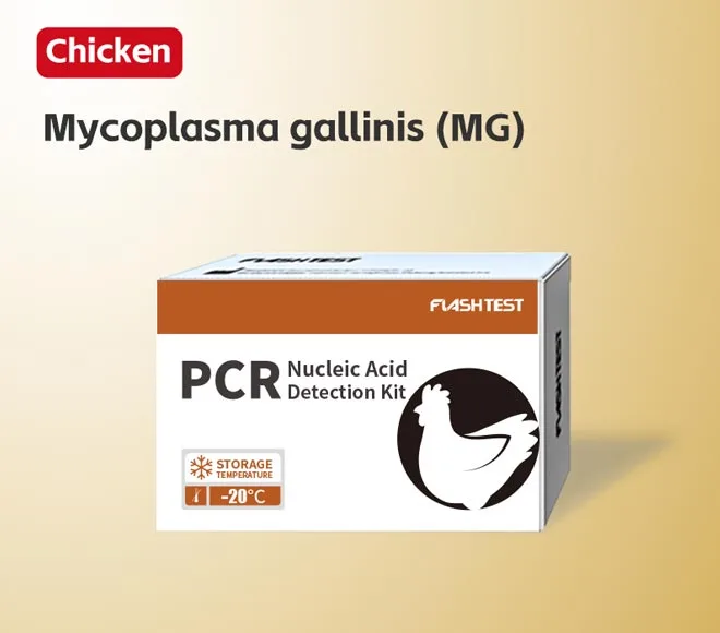mycoplasma gallinis mg
