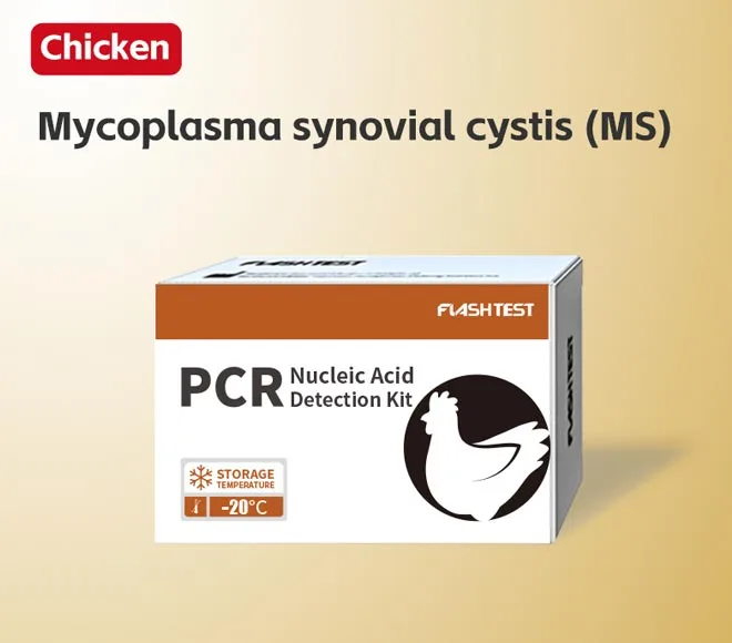 mycoplasma synovial cystis ms