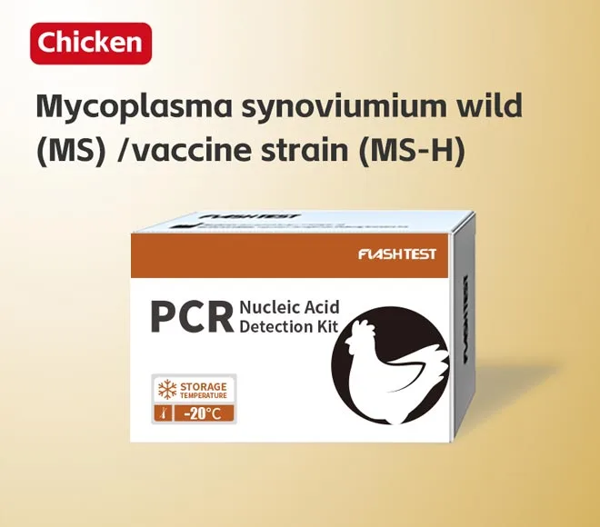 mycoplasma synoviumium wild ms vaccine strain ms h