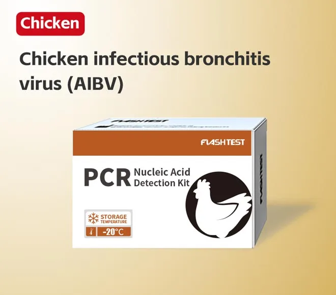 chicken infectious bronchitis virus aibv